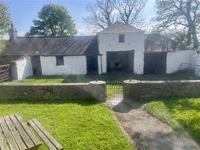 Picture 27